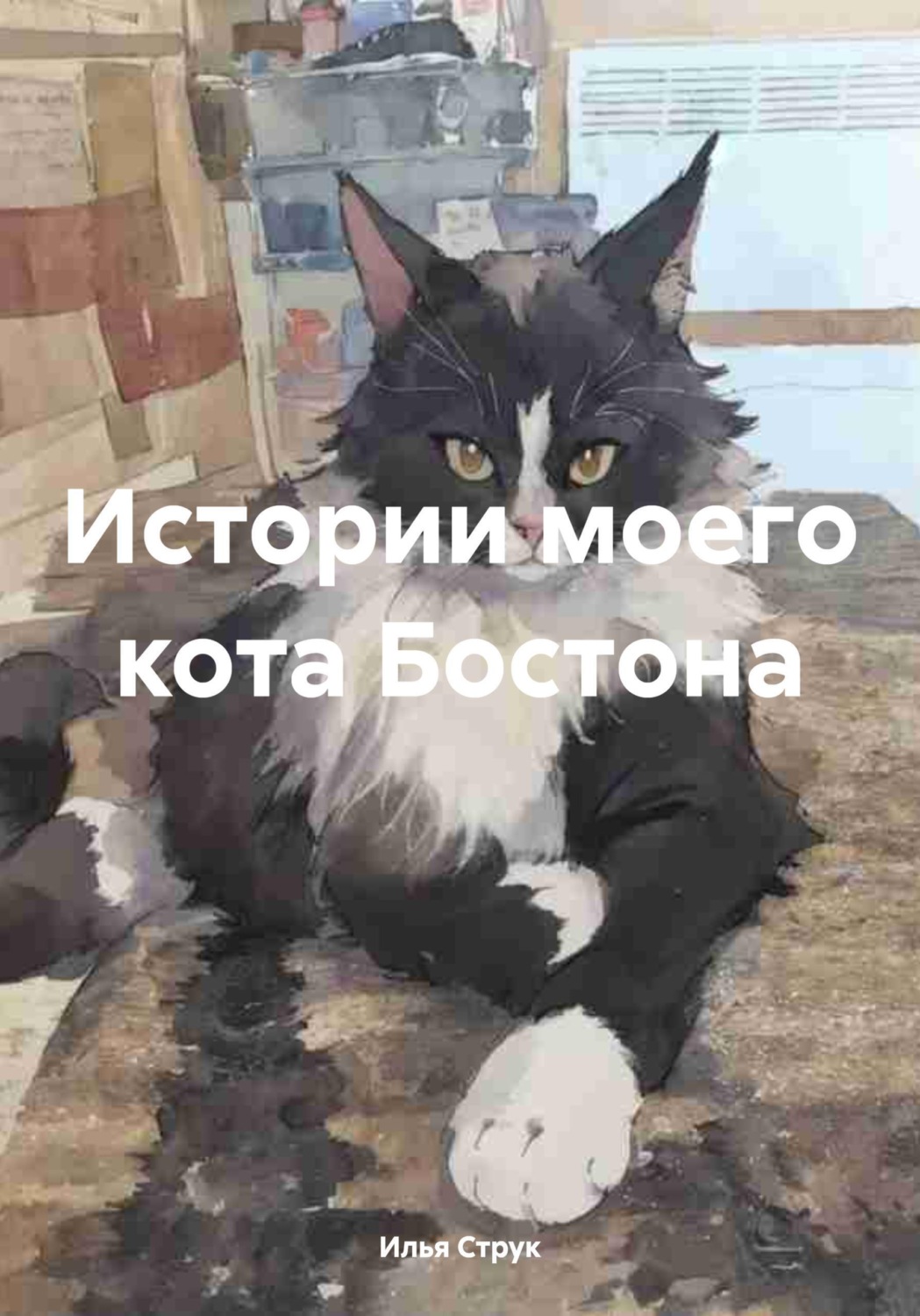 Обложка книги «Истории моего кота Бостона»