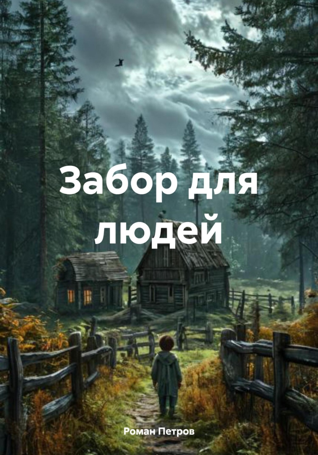 Обложка книги «Забор для людей»