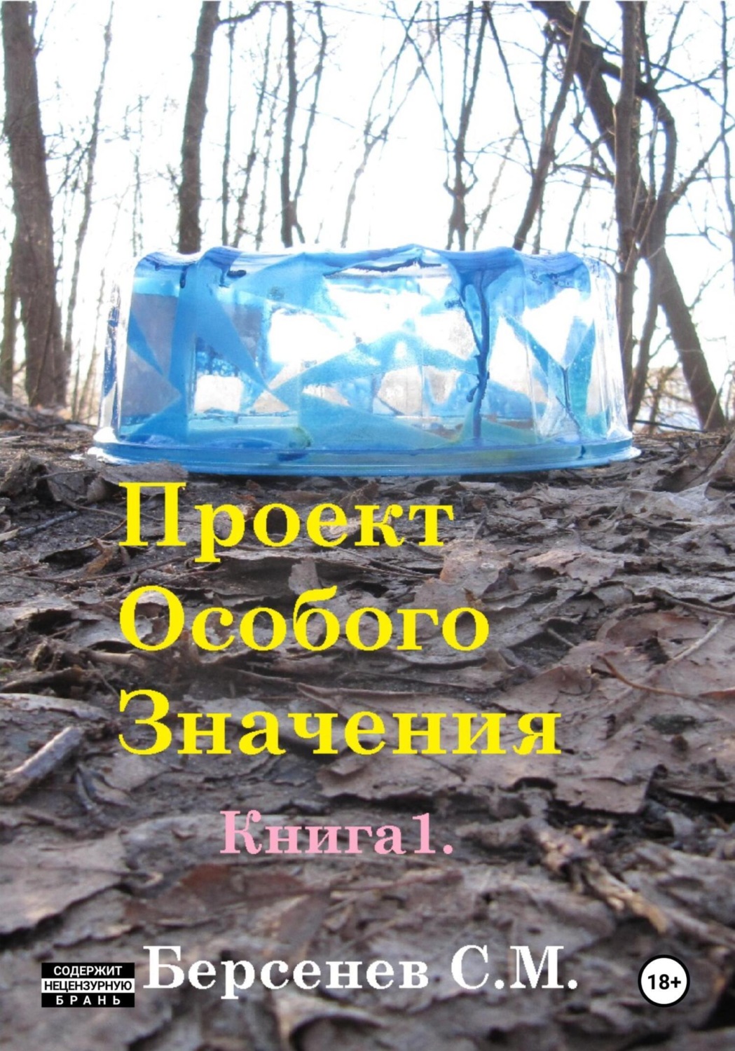 Обложка книги «Проект Особого Значения. Повесть.»