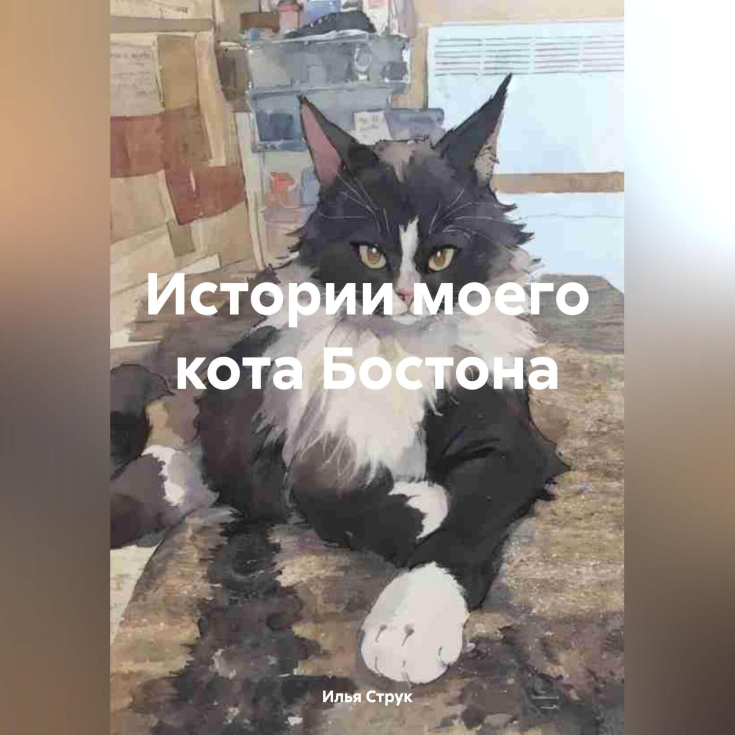 Обложка книги «Истории моего кота Бостона»