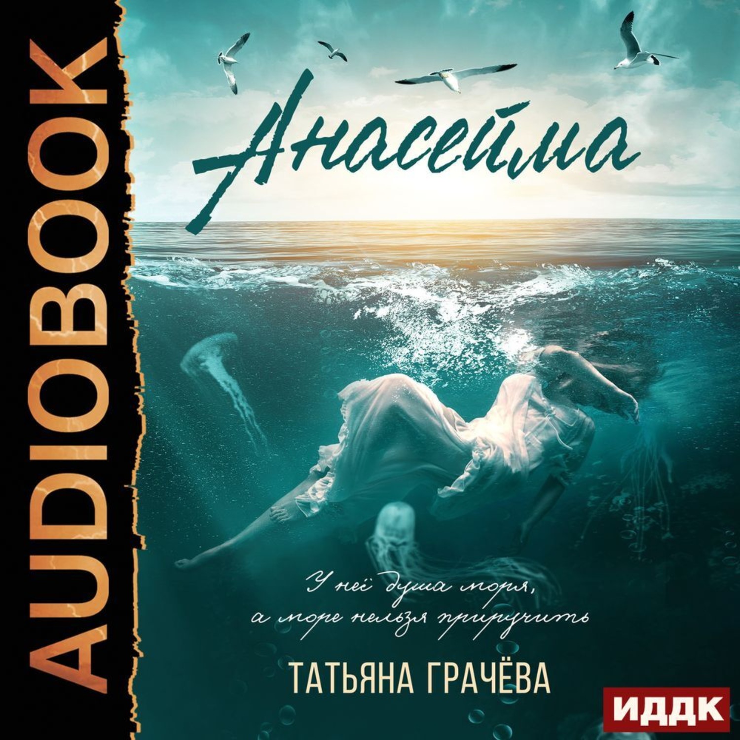 Обложка книги «Анасейма»