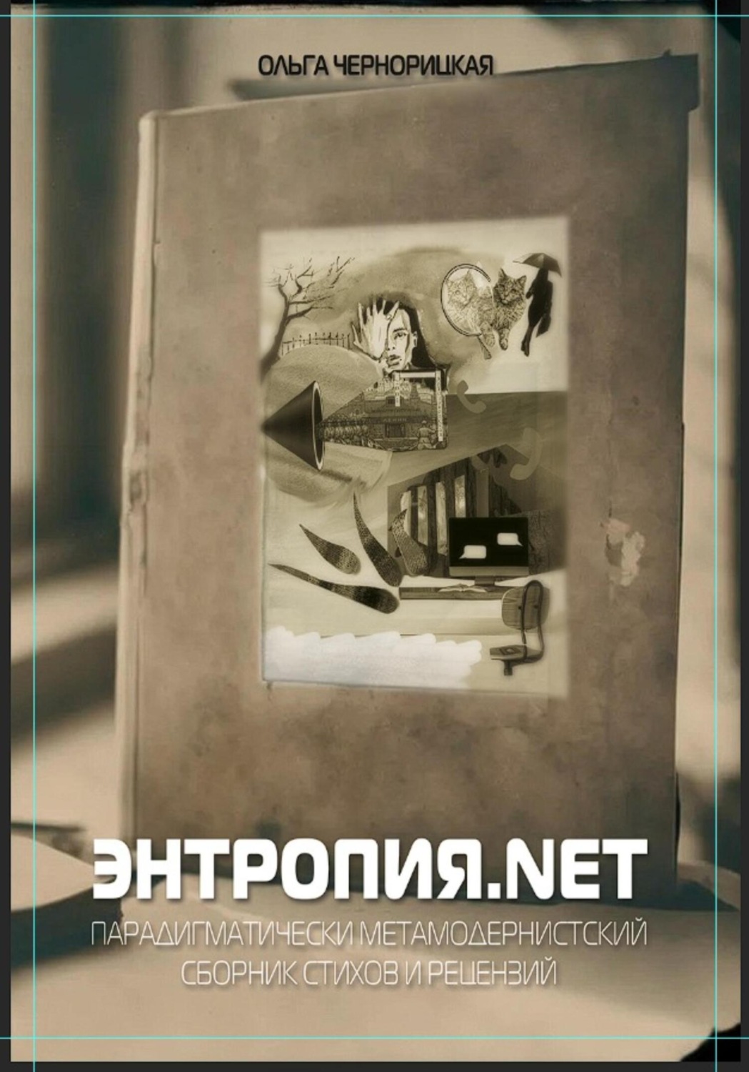 Обложка книги «Энтропия.net»