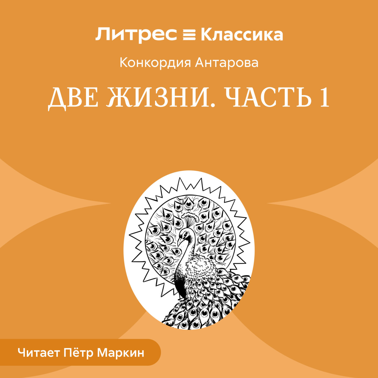 Обложка книги «Две жизни. Часть 1»