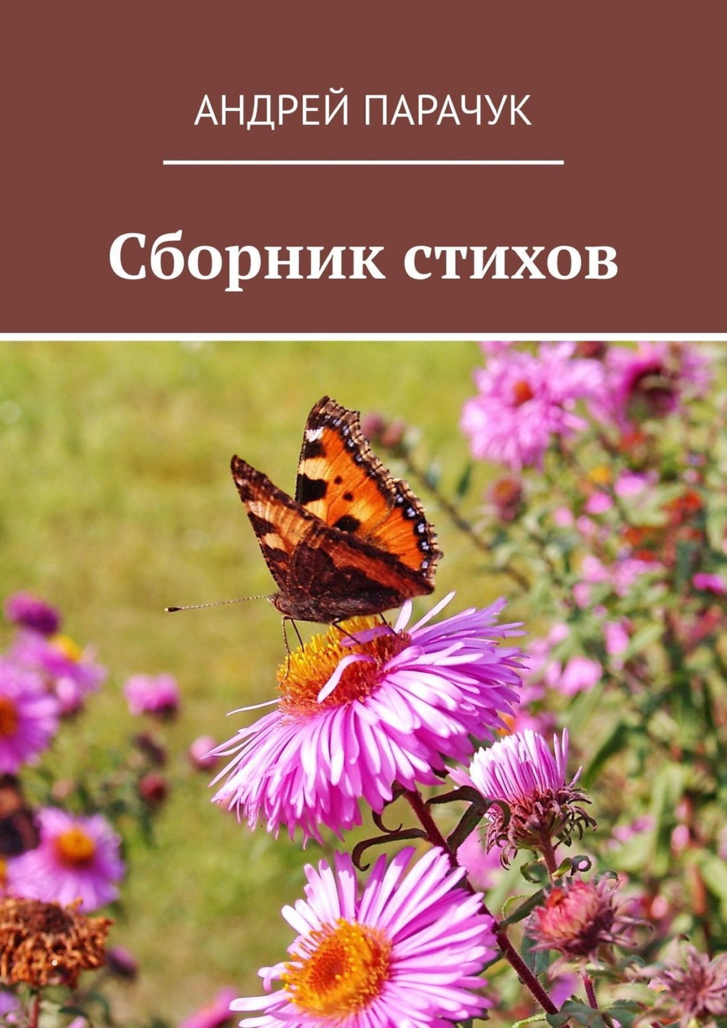 Обложка книги «Сборник стихов»