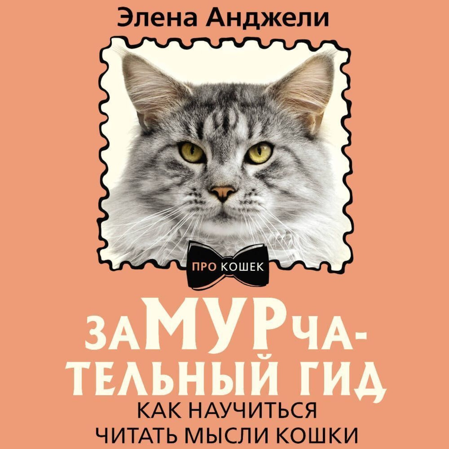 Обложка книги «ЗаМУРчательный гид. Как научиться читать мысли кошки»