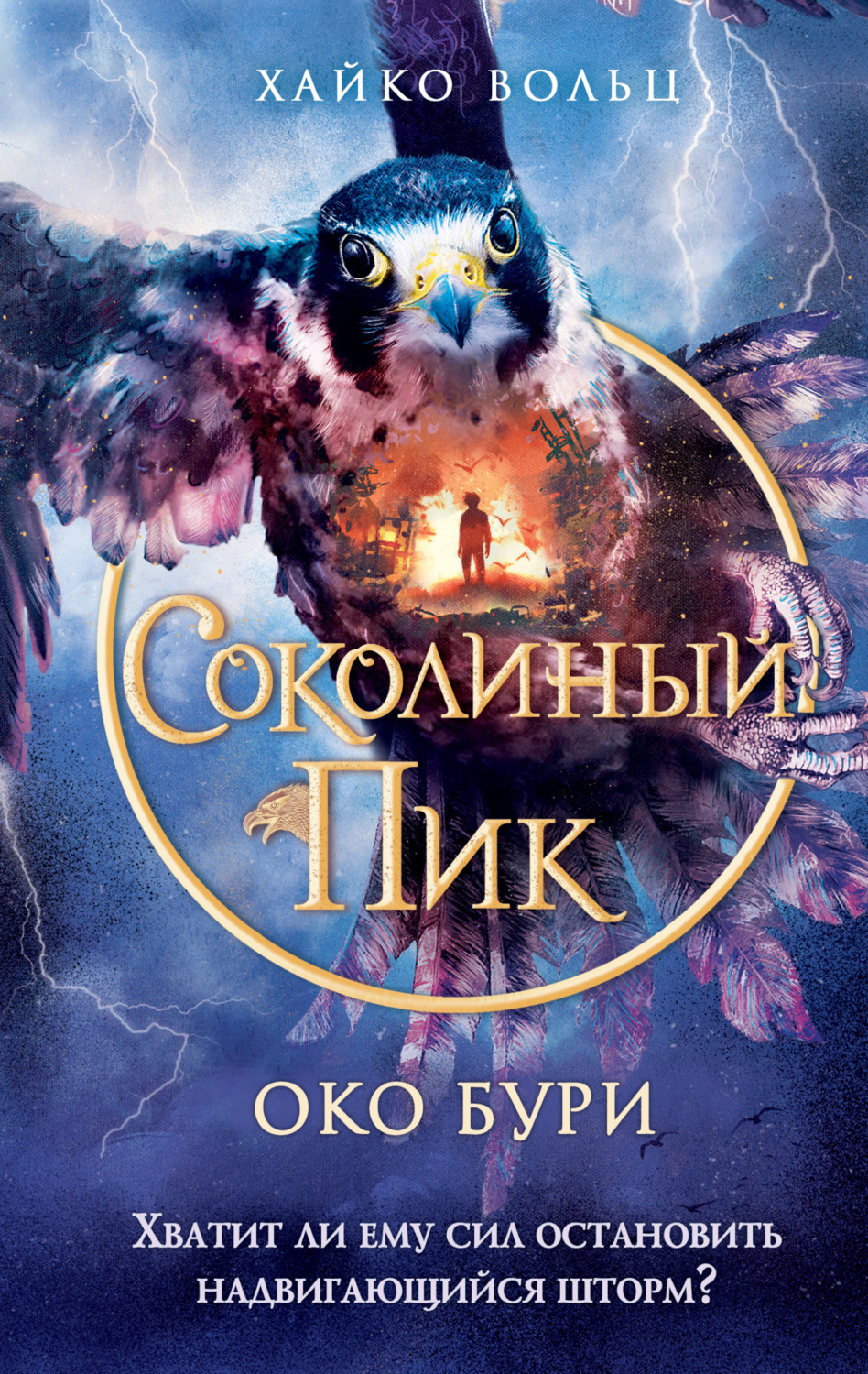 Обложка книги «Соколиный пик. Око бури»