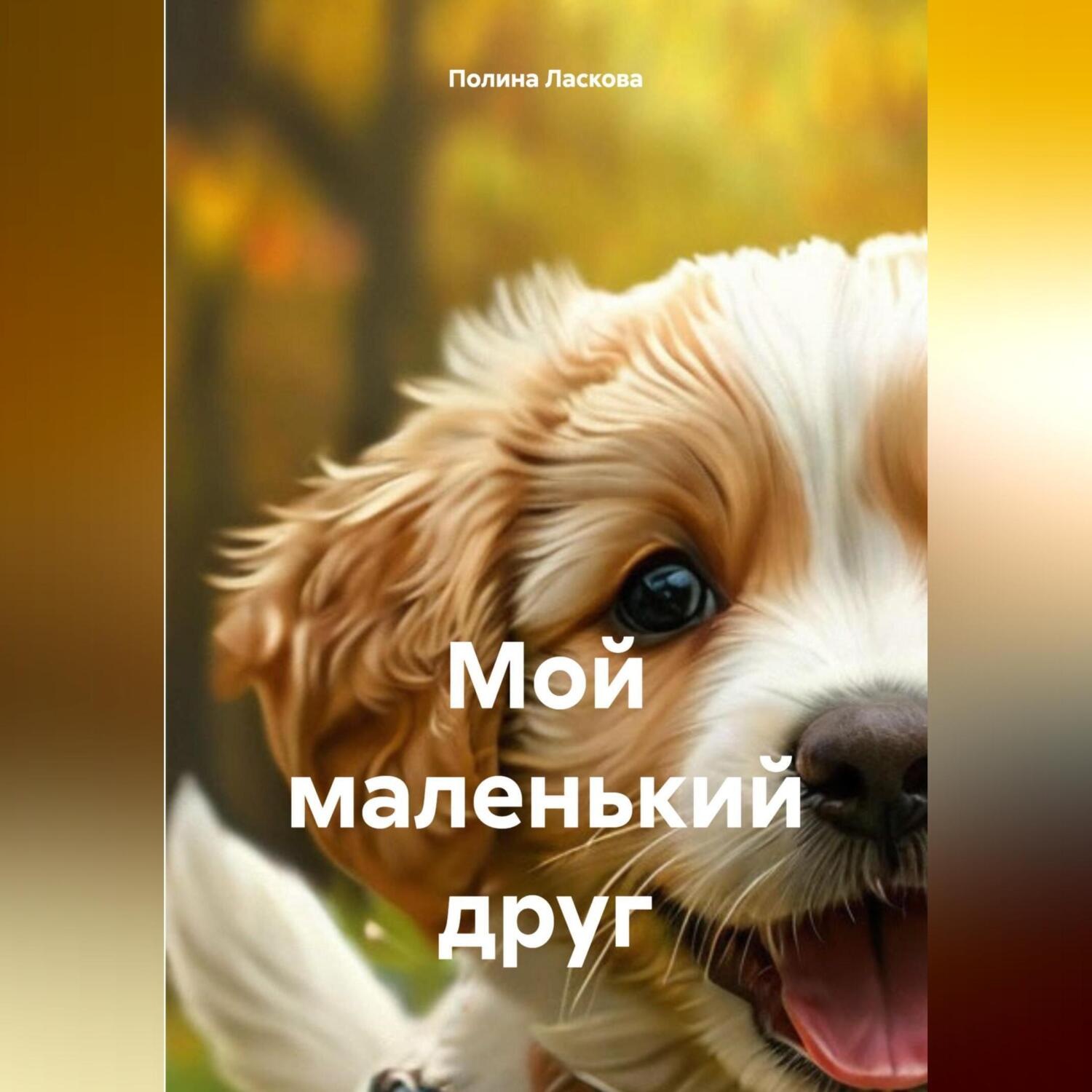 Обложка книги «Мой маленький друг»