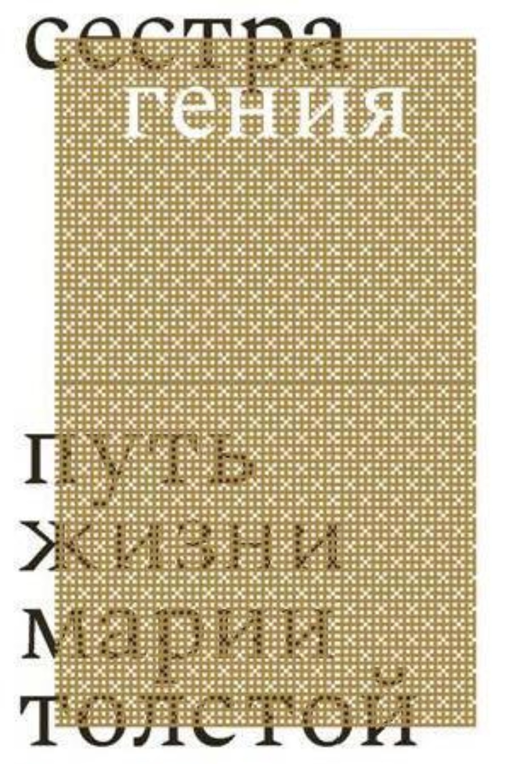 Обложка книги «Сестра гения. Путь жизни Марии Толстой»