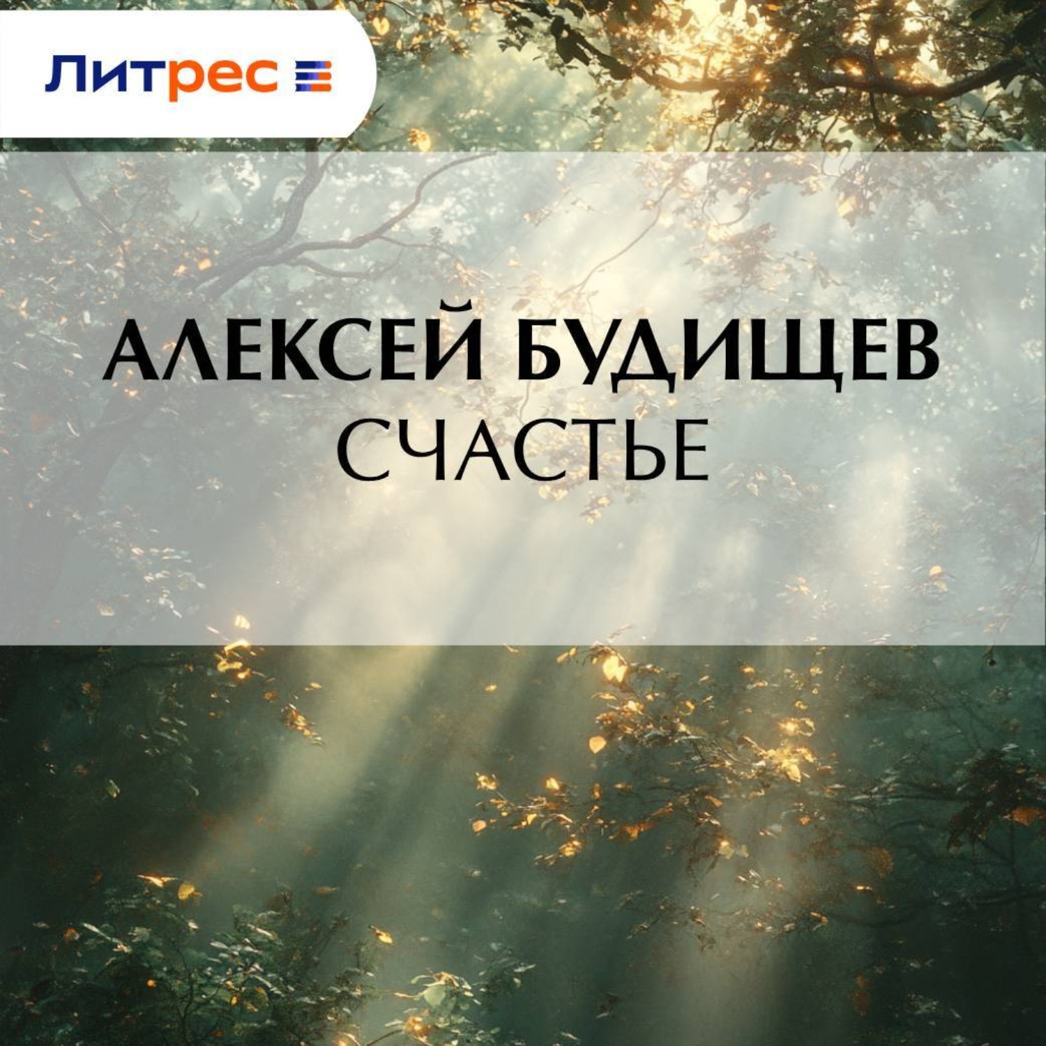 Обложка книги «Счастье»
