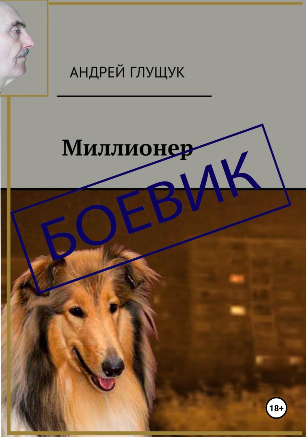 Обложка книги «Миллионер»