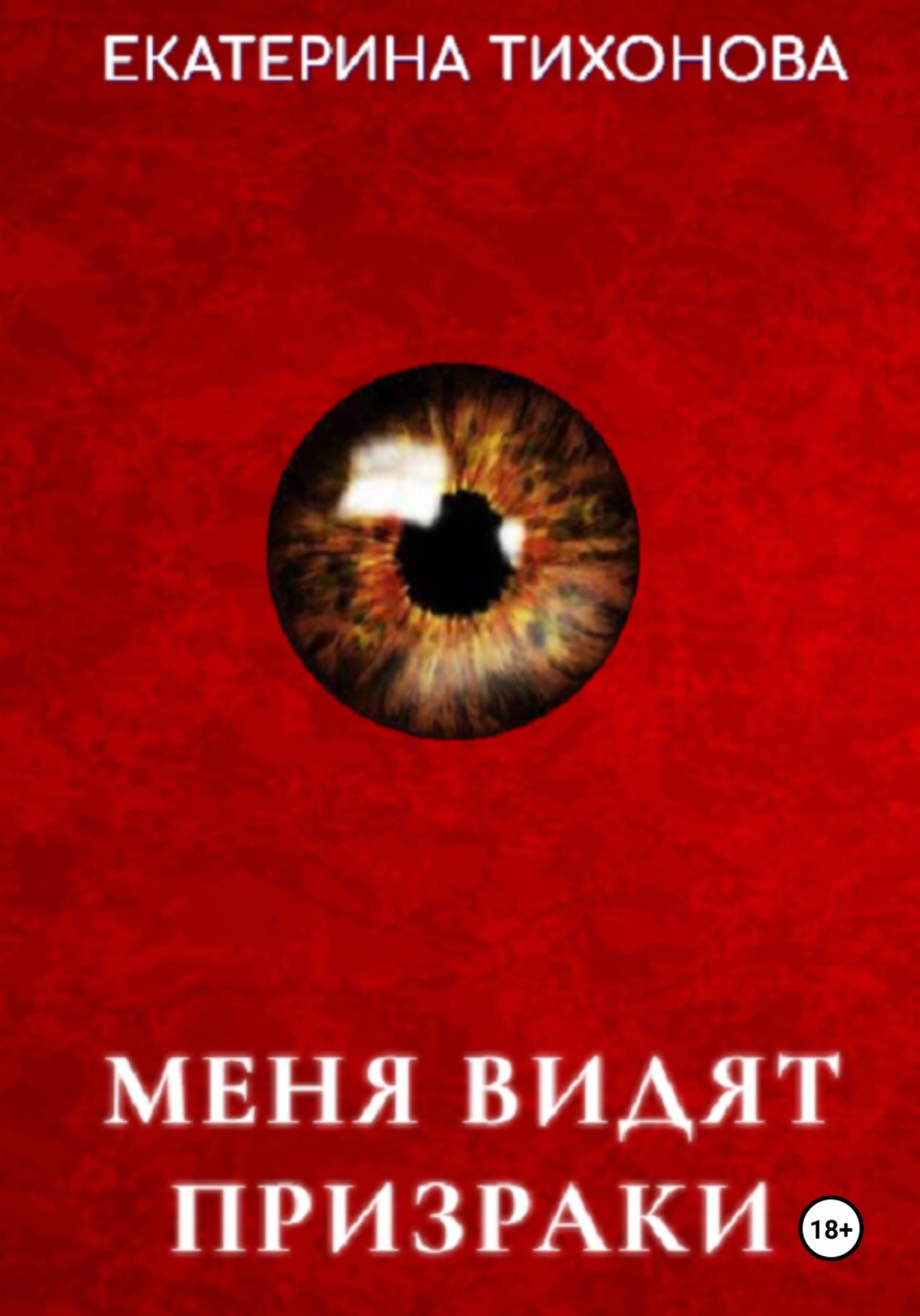 Обложка книги «Меня видят призраки»