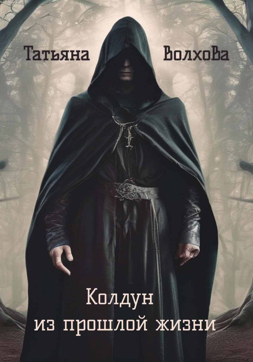 Обложка книги «Колдун из прошлой жизни»