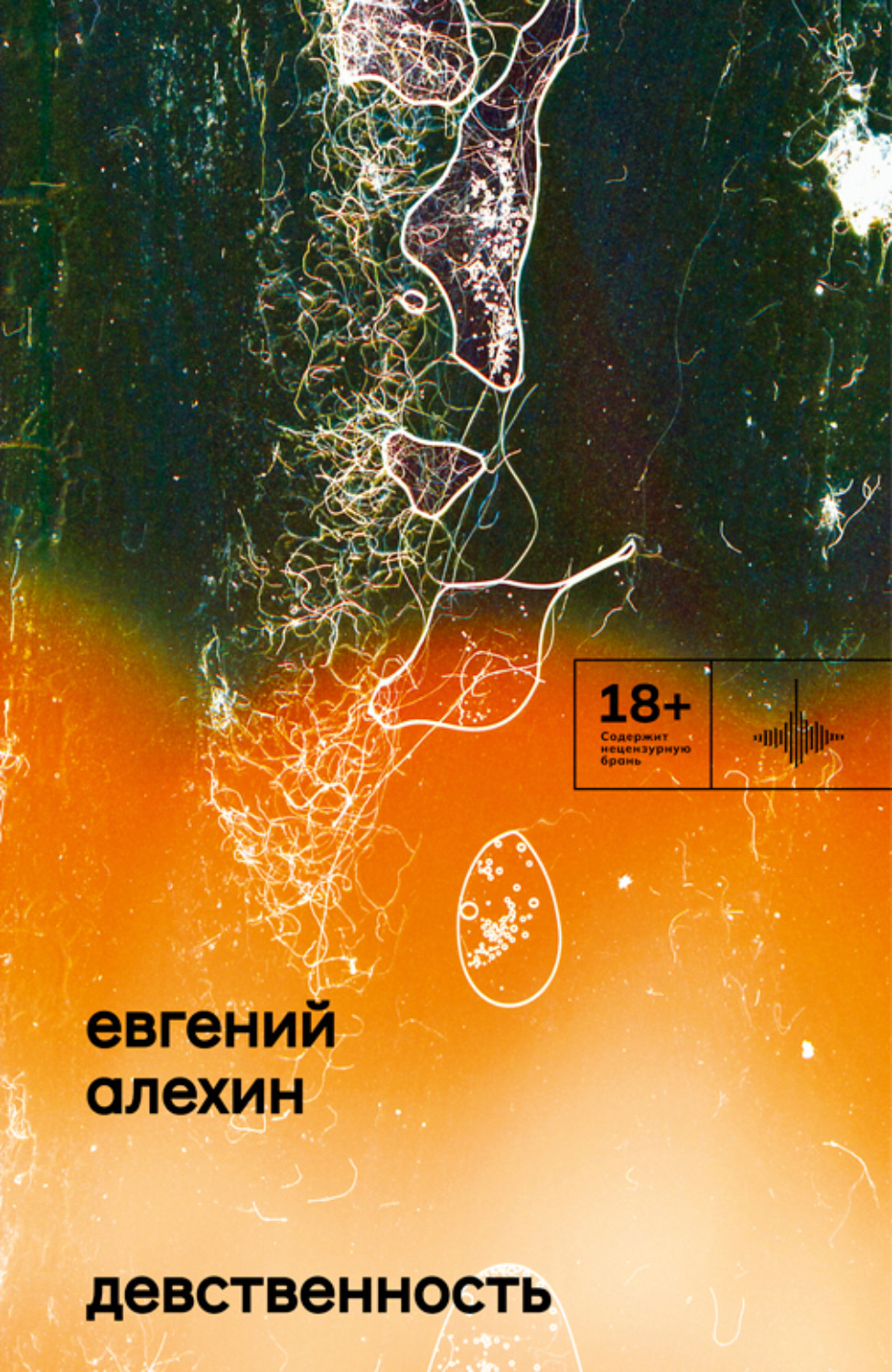 Обложка книги «Девственность»