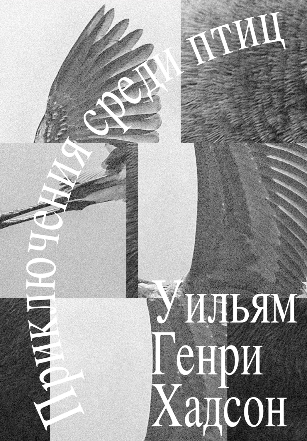 Обложка книги «Приключения среди птиц»
