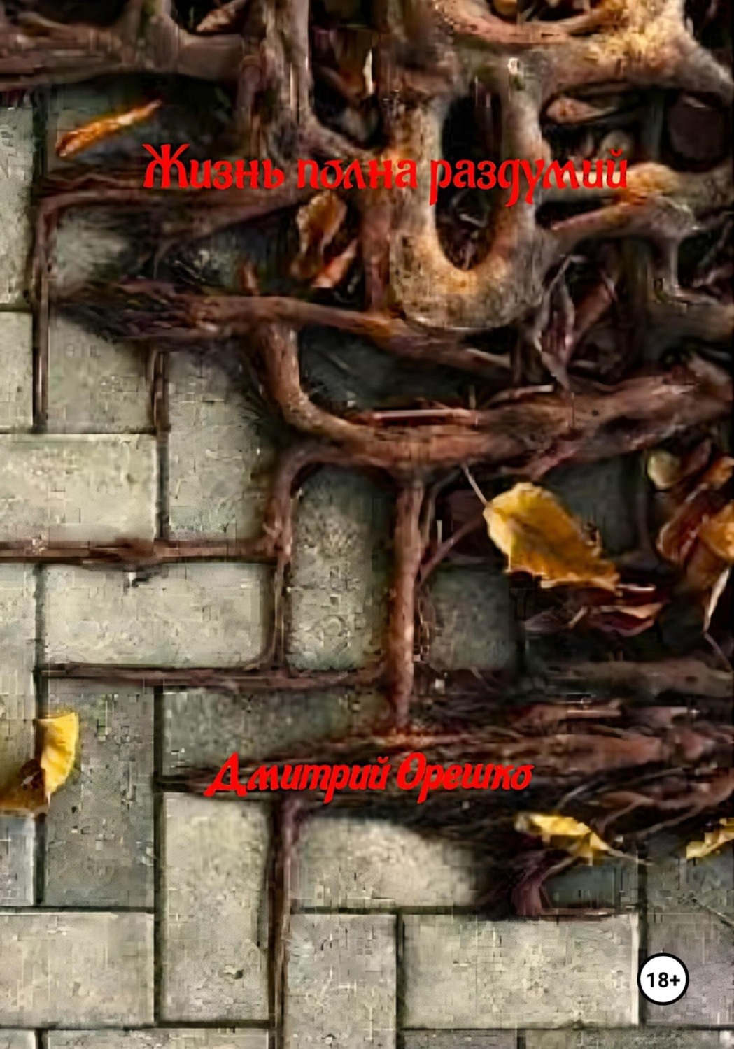 Обложка книги «Жизнь полная раздумий»