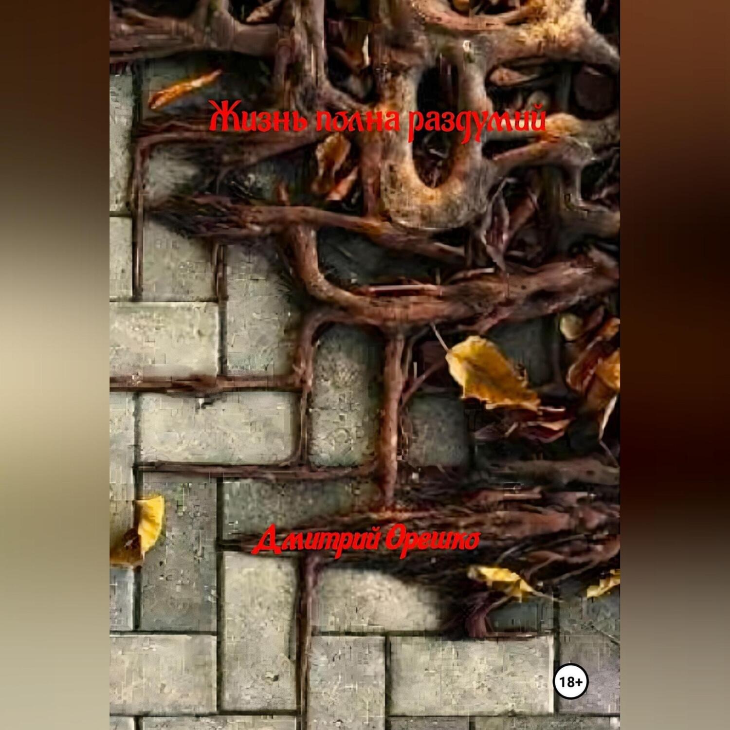 Обложка книги «Жизнь полная раздумий»