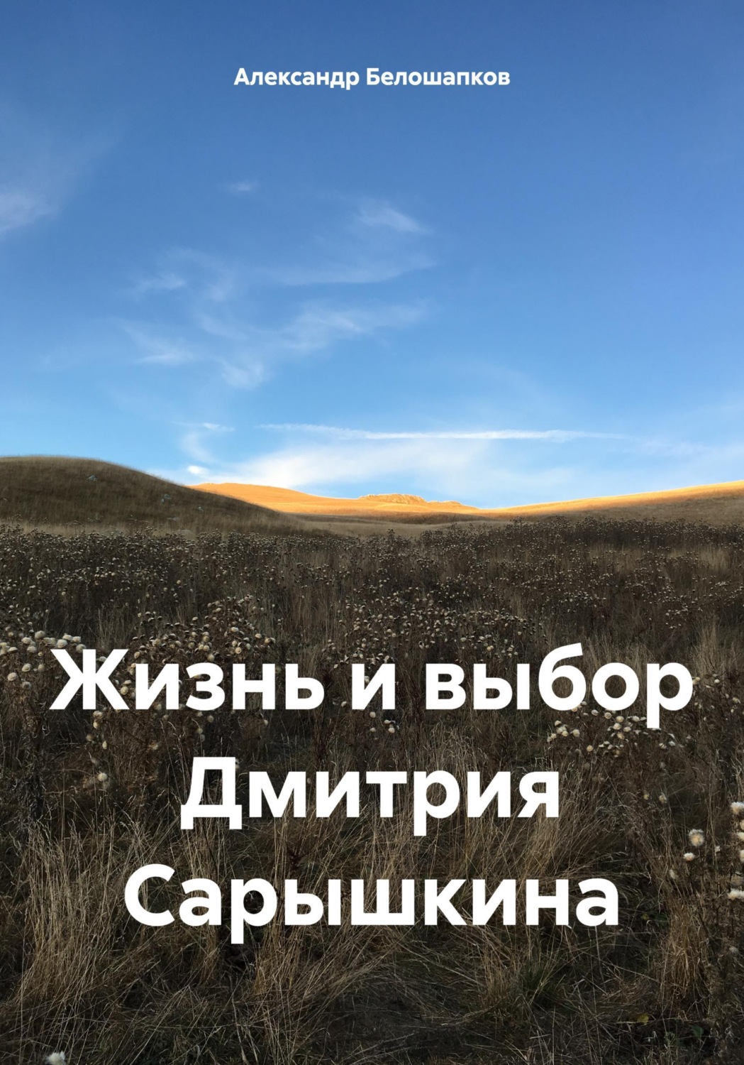 Обложка книги «Жизнь и выбор Дмитрия Сарышкина»