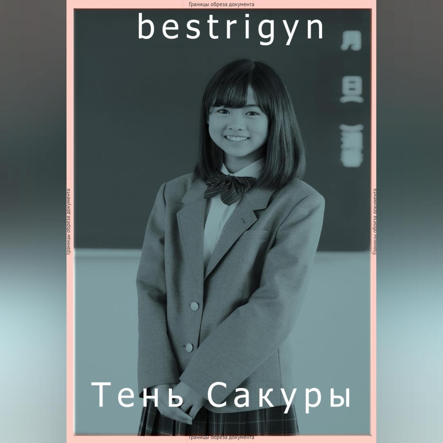 Обложка книги «тень Сакуры»