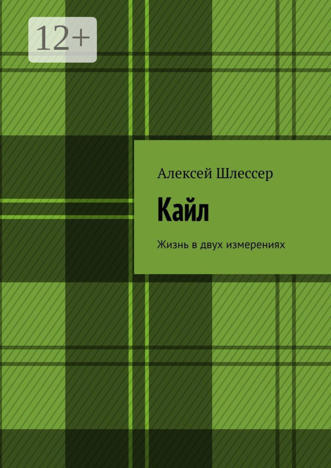 Обложка книги «Кайл. Жизнь в двух измерениях»