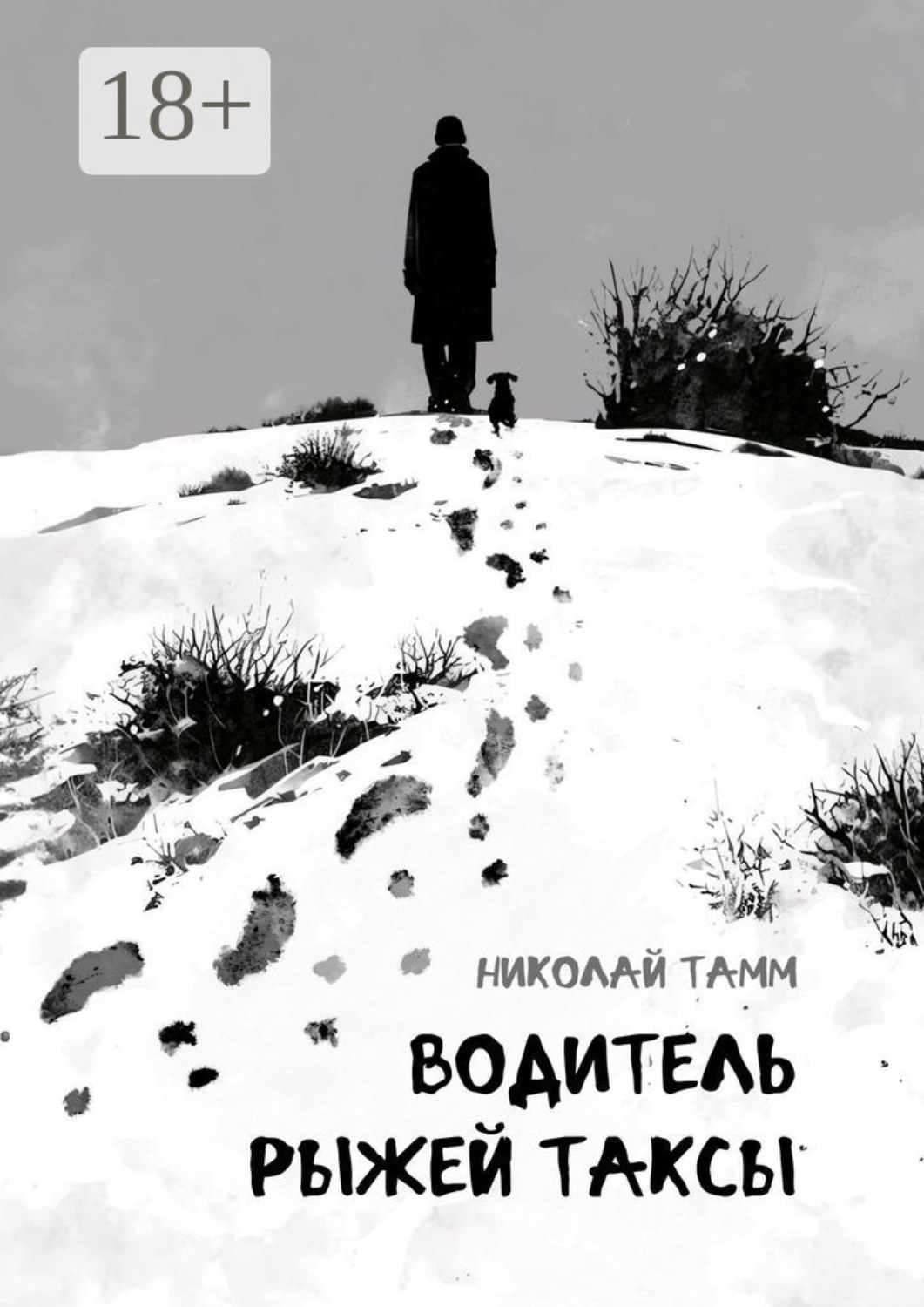 Обложка книги «Водитель рыжей таксы»