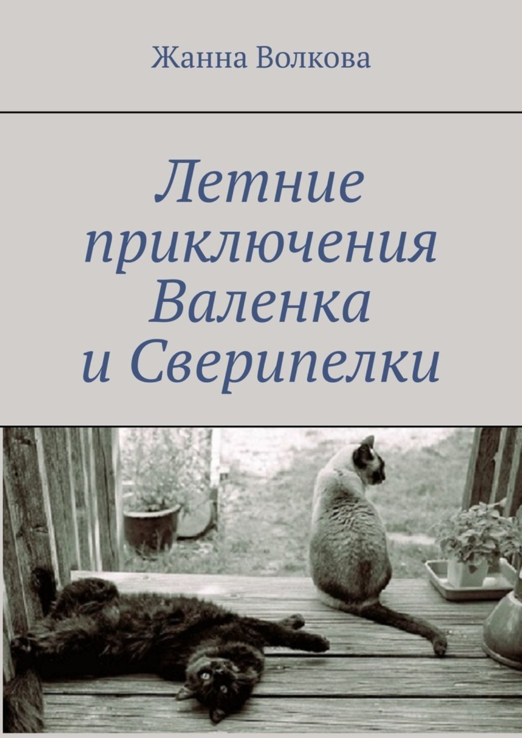 Обложка книги «Летние приключения Валенка и Сверипелки»
