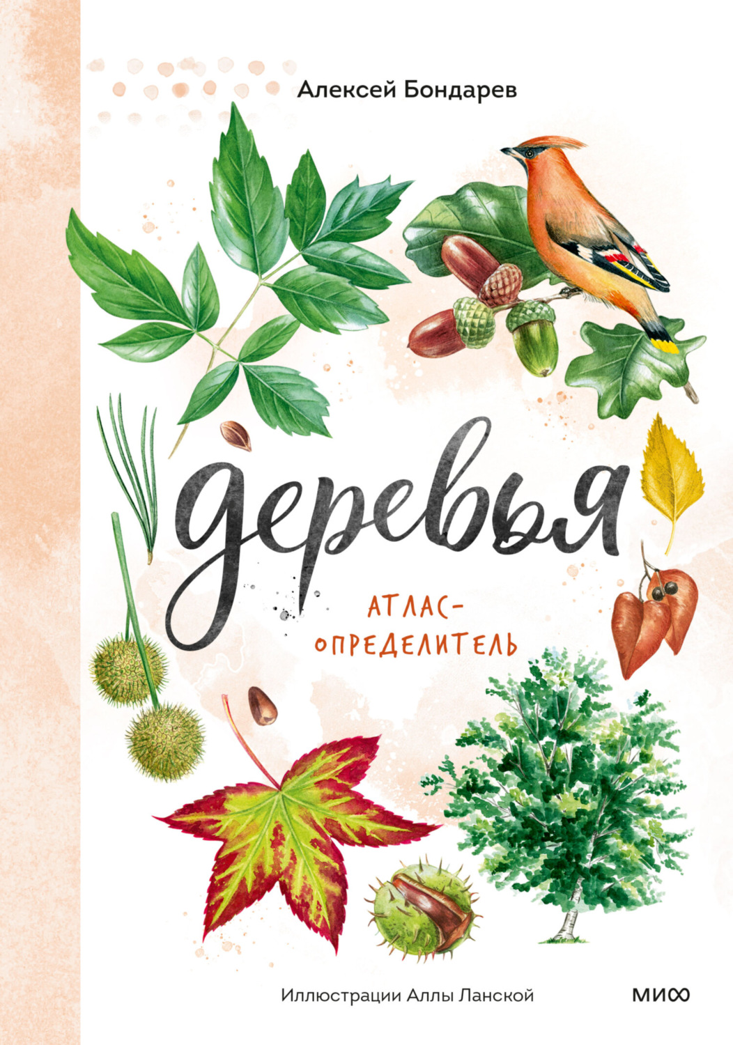Обложка книги «Деревья. Атлас-определитель»