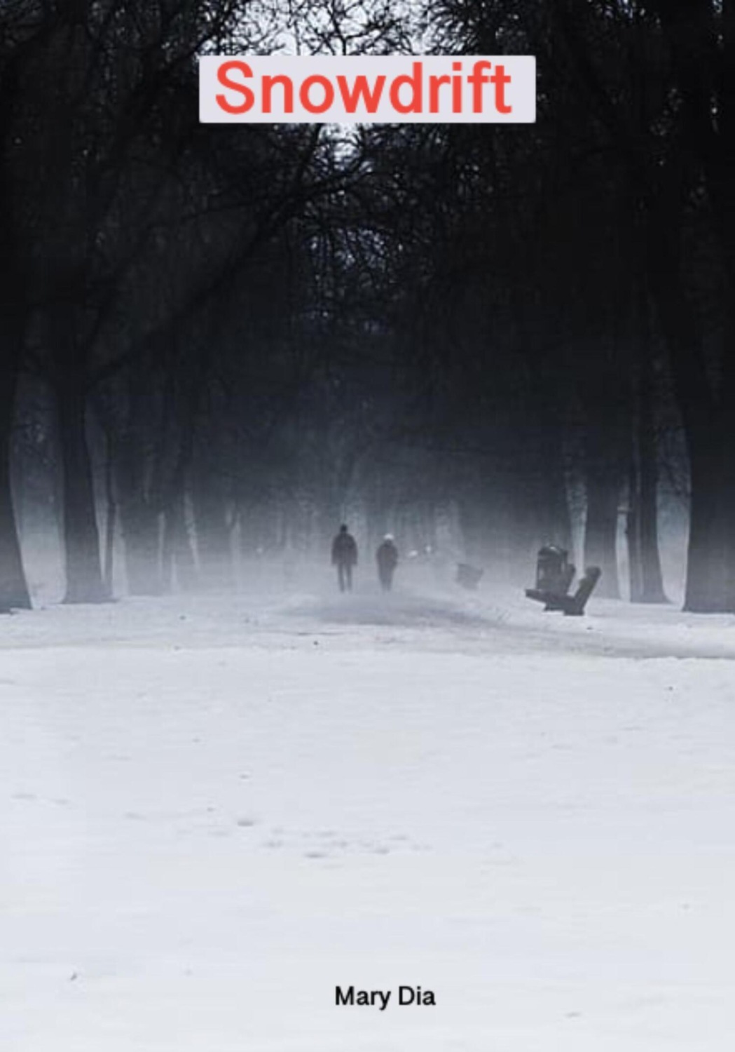Обложка книги «Snowdrift»