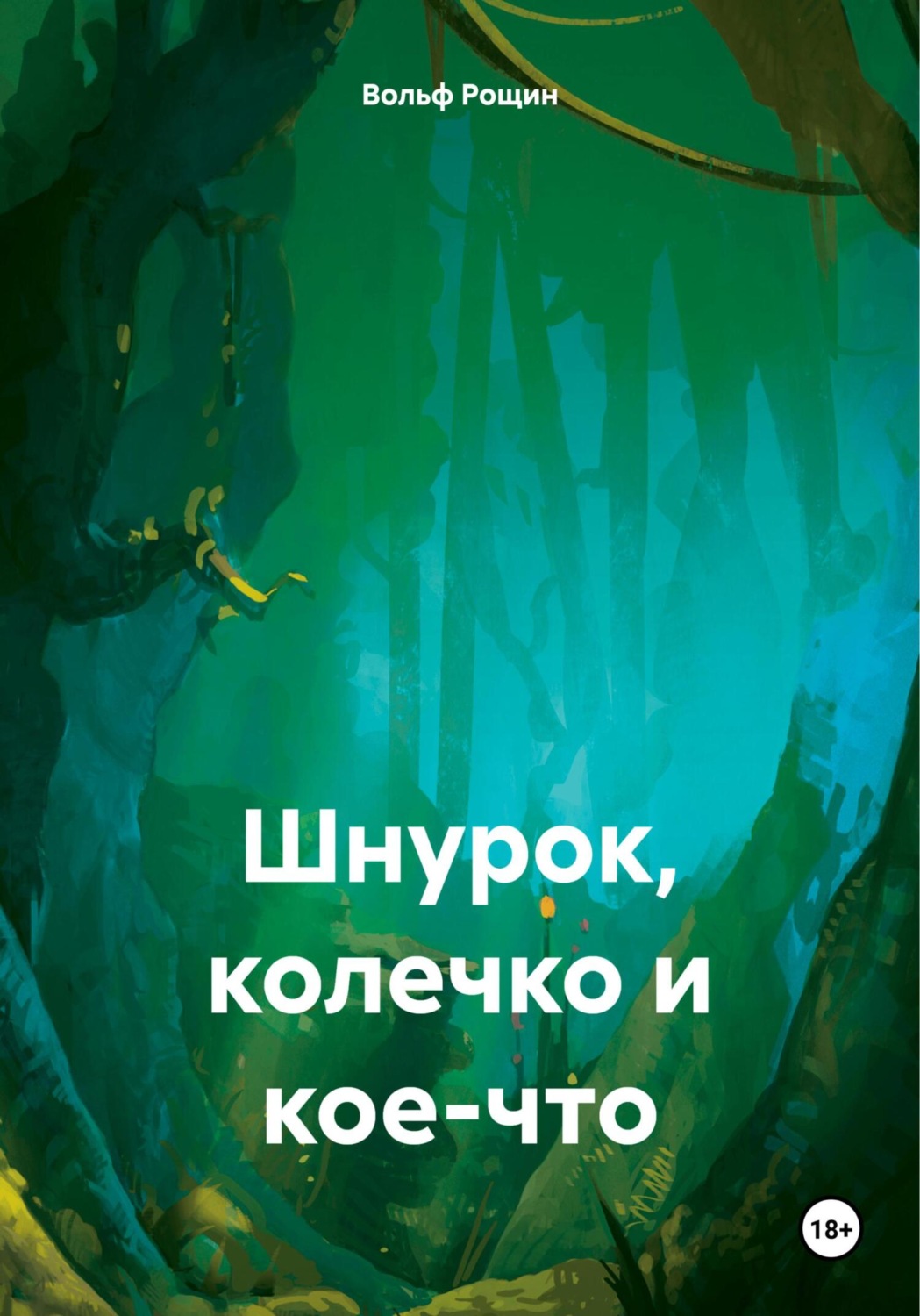 Обложка книги «Шнурок, колечко и кое-что»