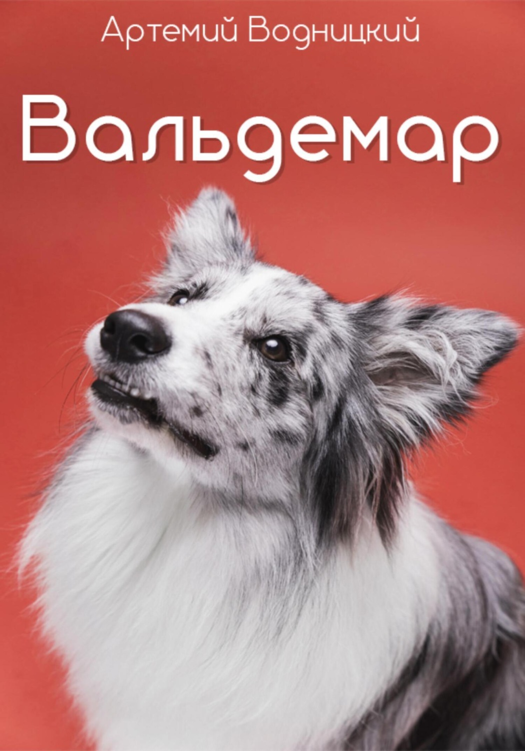 Обложка книги «Вальдемар»