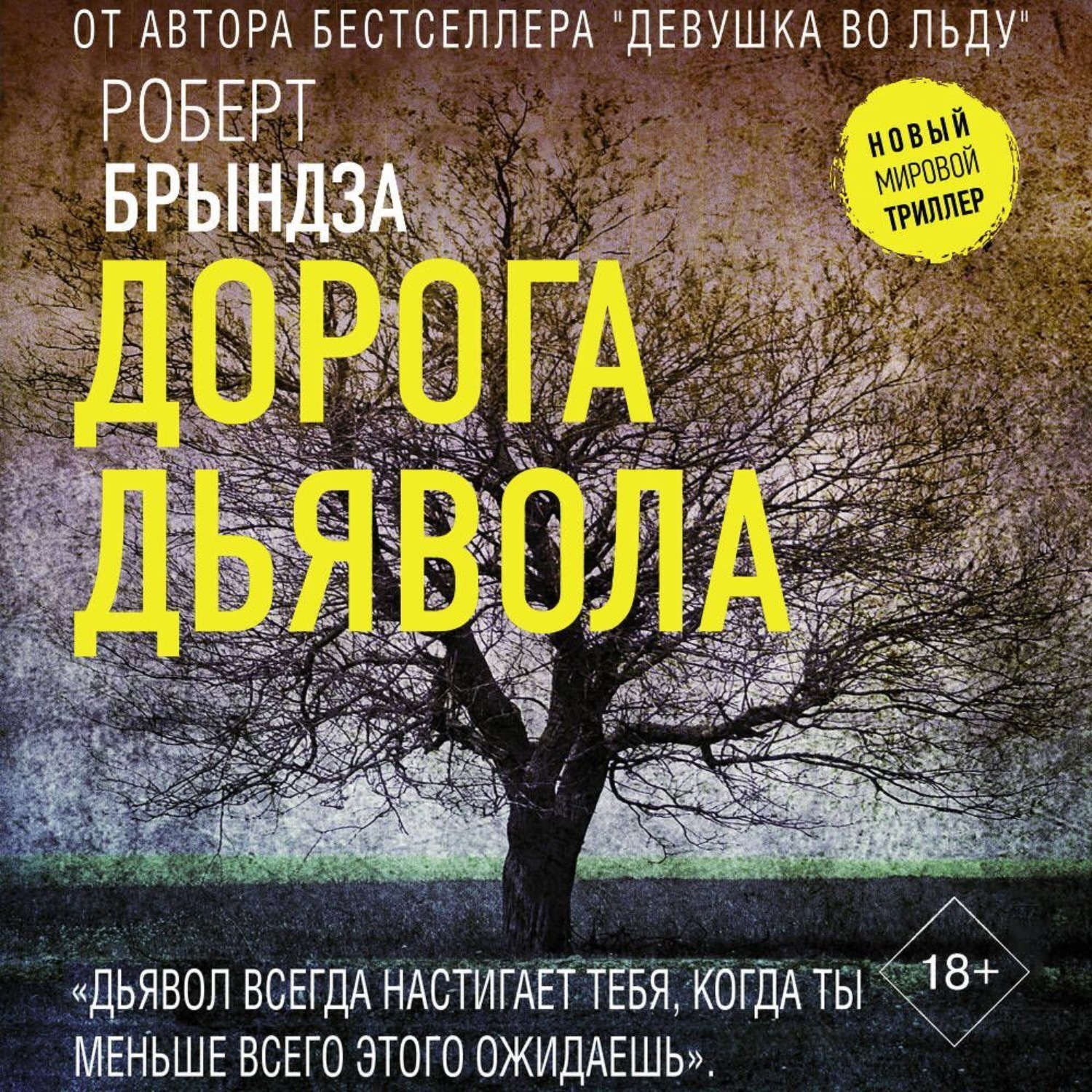 Обложка книги «Дорога дьявола»