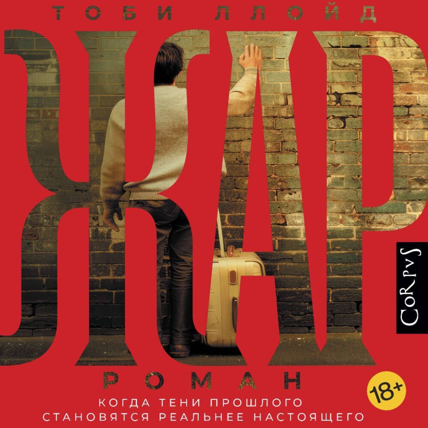 Обложка книги «Жар»