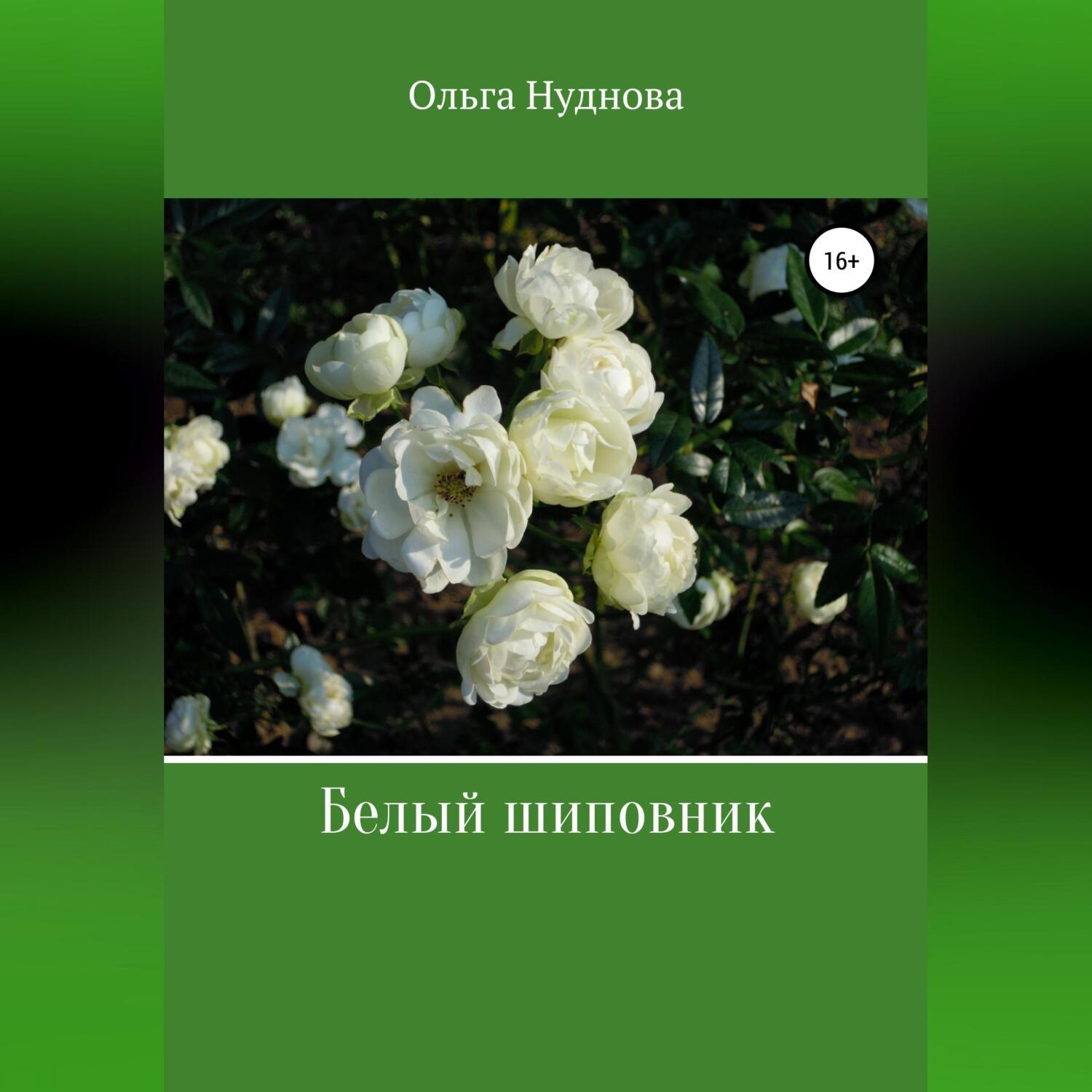 Обложка книги «Белый шиповник»