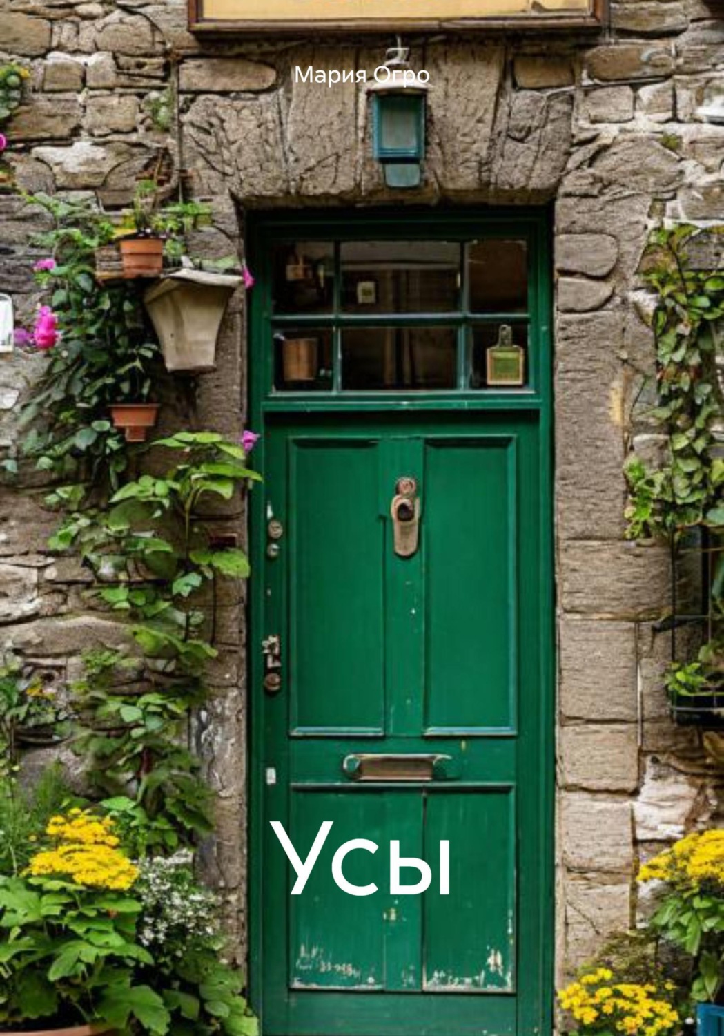 Обложка книги «Усы»