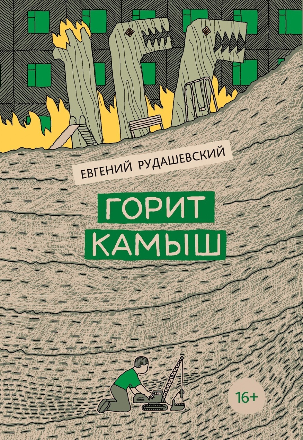 Обложка книги «Горит камыш»
