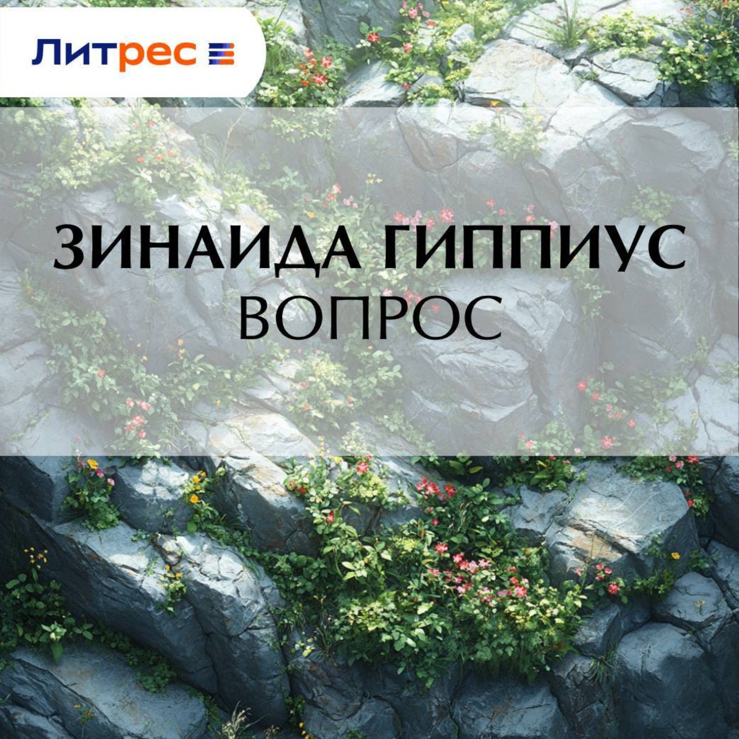 Обложка книги «Вопрос»