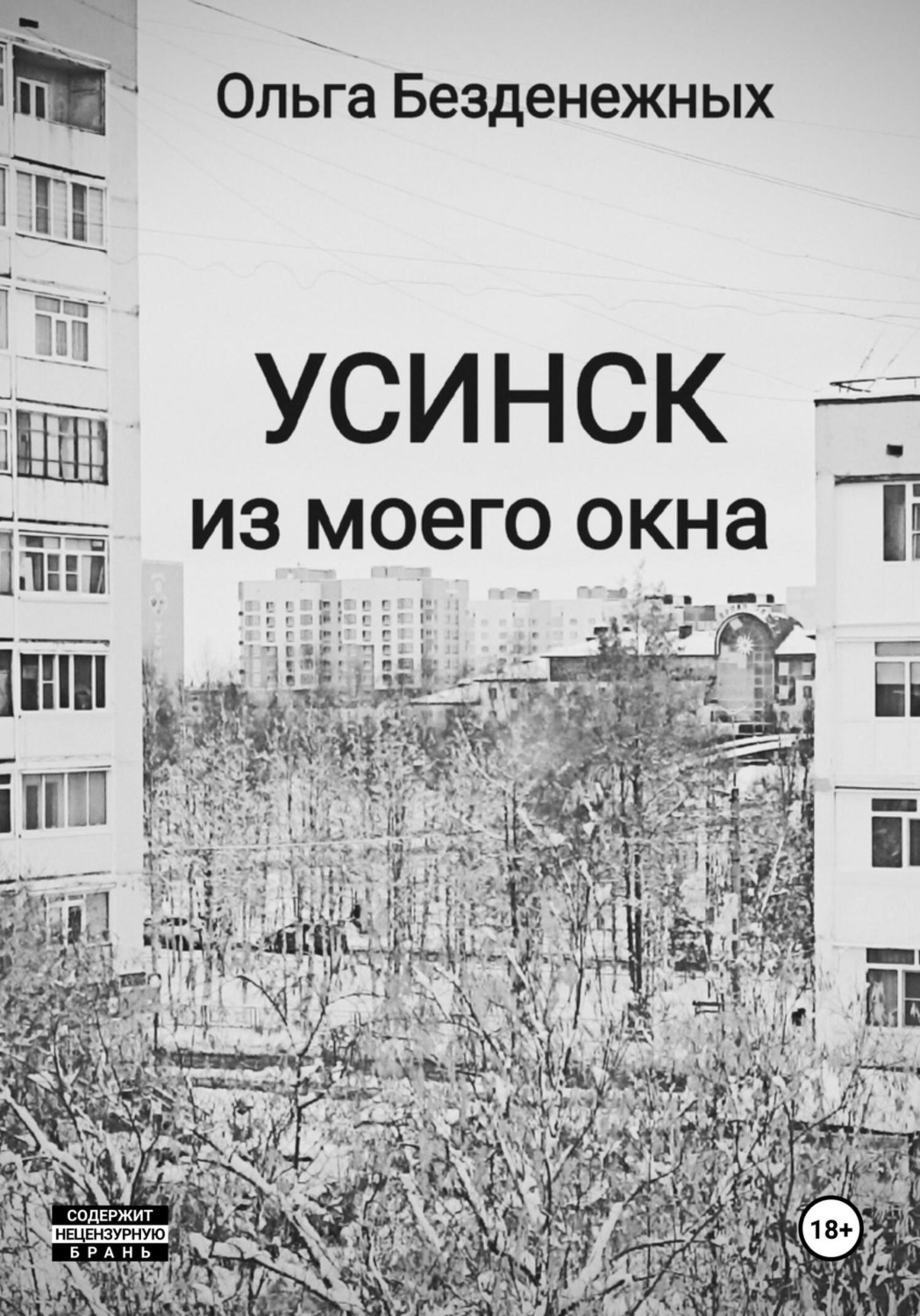 Обложка книги «Усинск из моего окна»