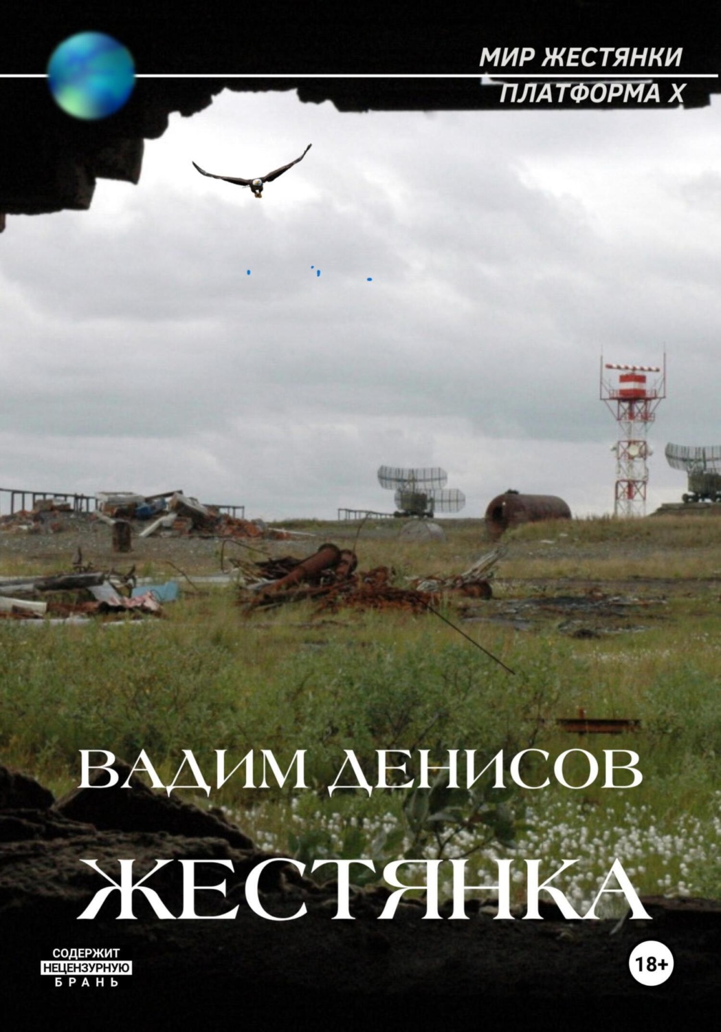 Обложка книги «Жестянка»