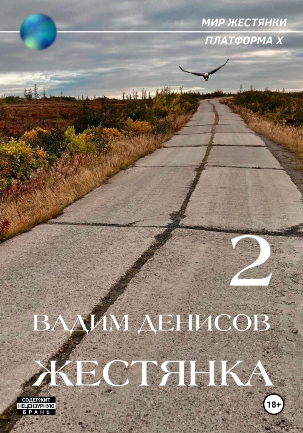 Обложка книги «Жестянка-2»