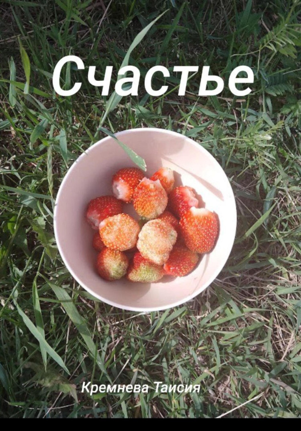 Обложка книги «Счастье»