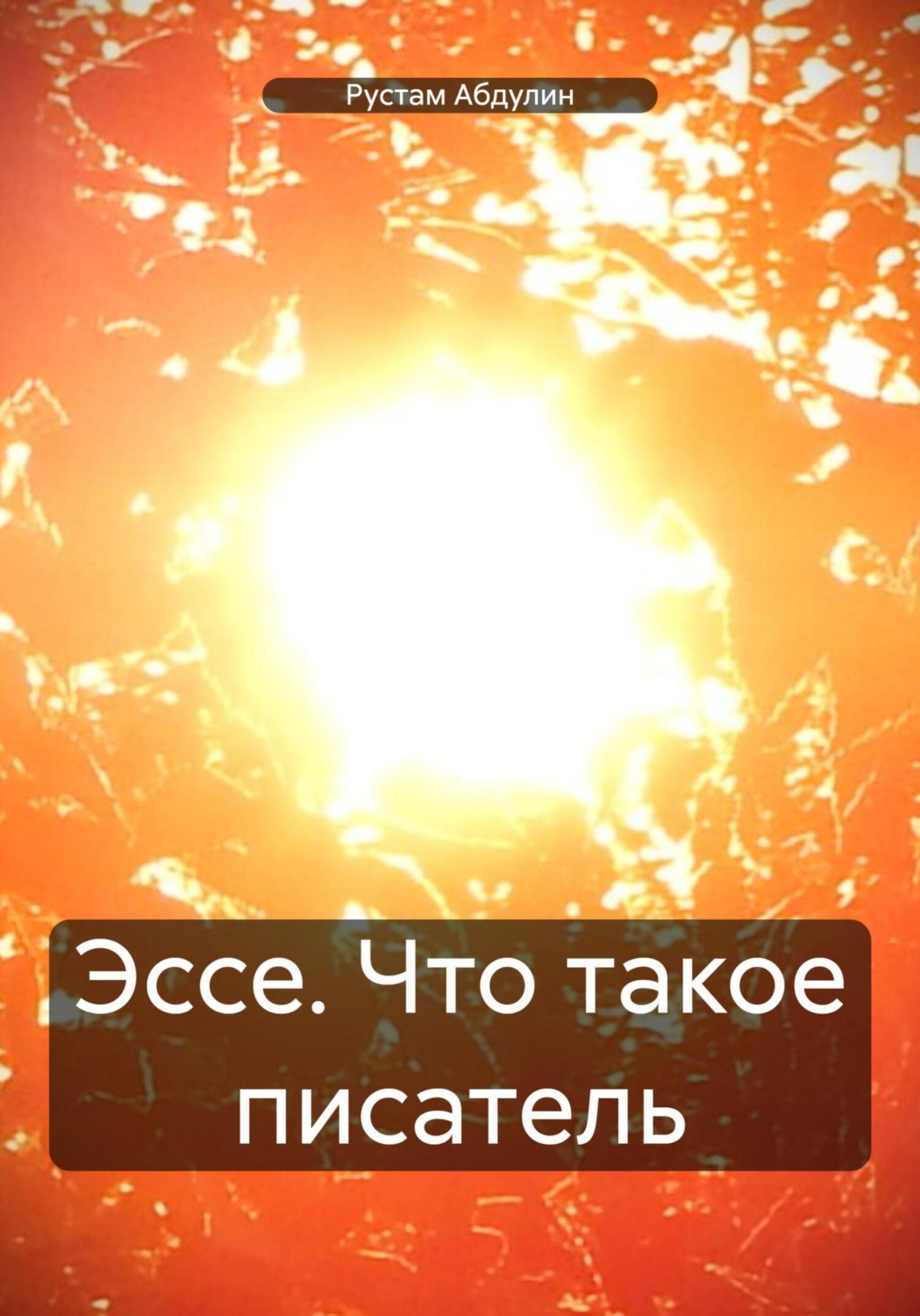 Обложка книги «Эссе. Что такое писатель»