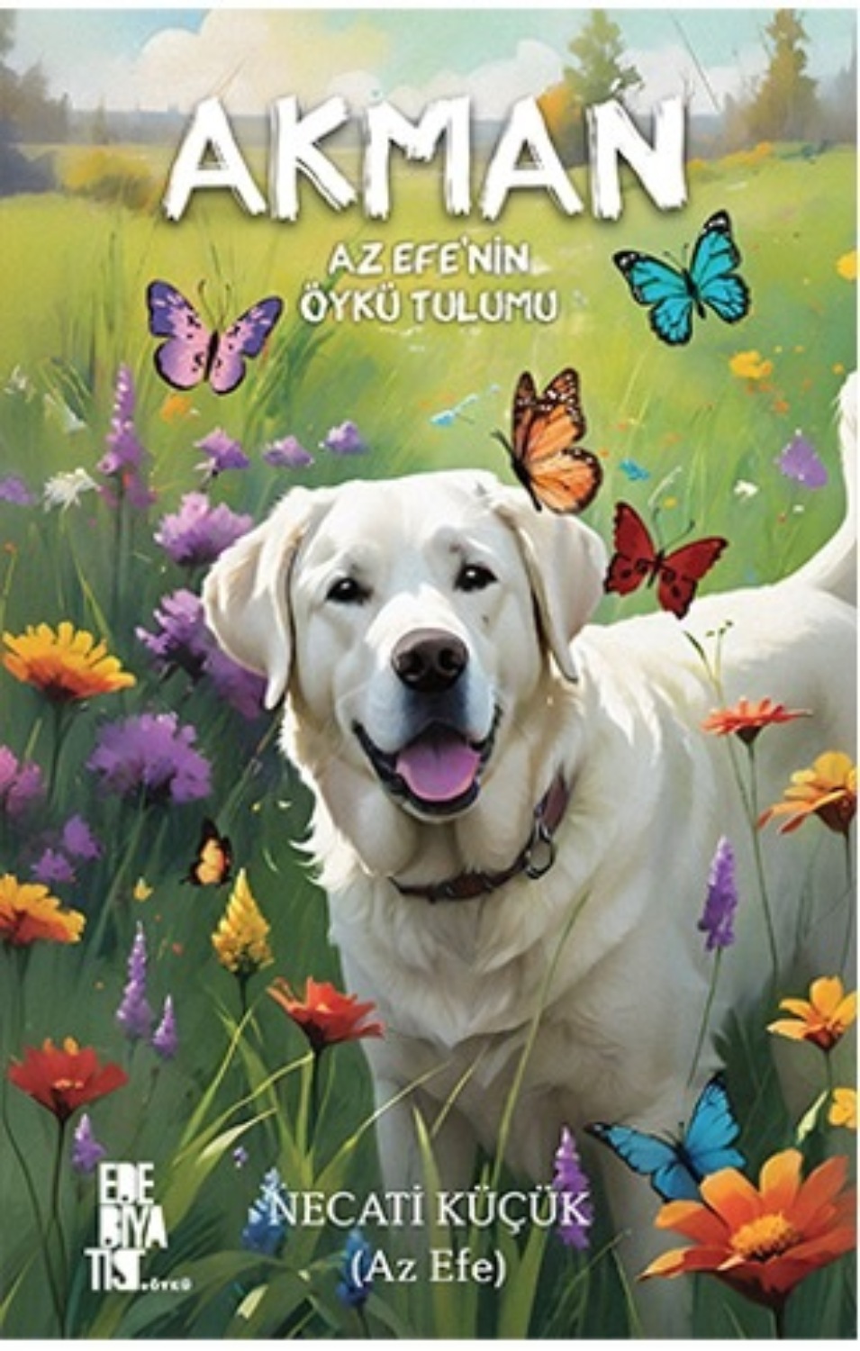 Обложка книги «Akman»