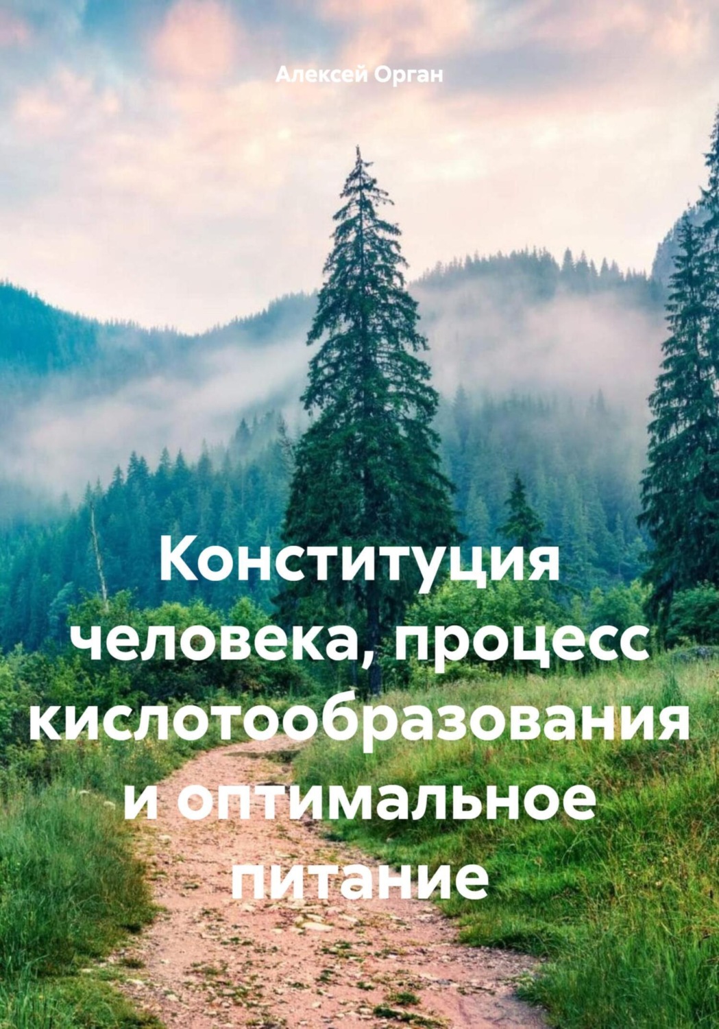 Обложка книги «Конституция человека, процесс кислотообразования и оптимальное питание»