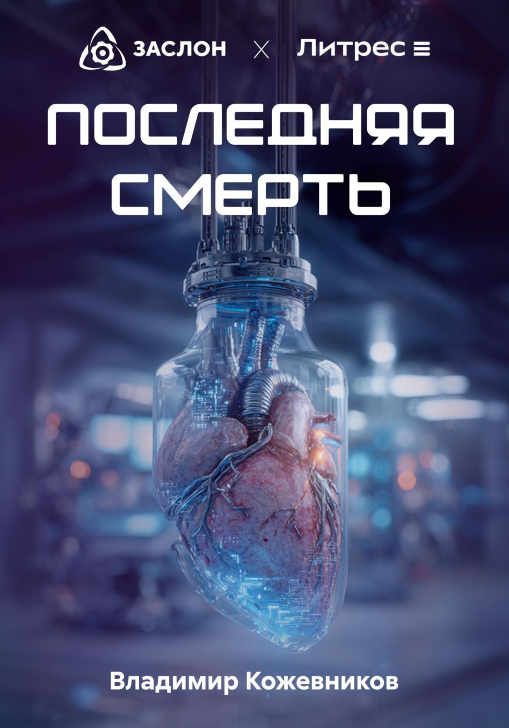 Обложка книги «Последняя смерть»