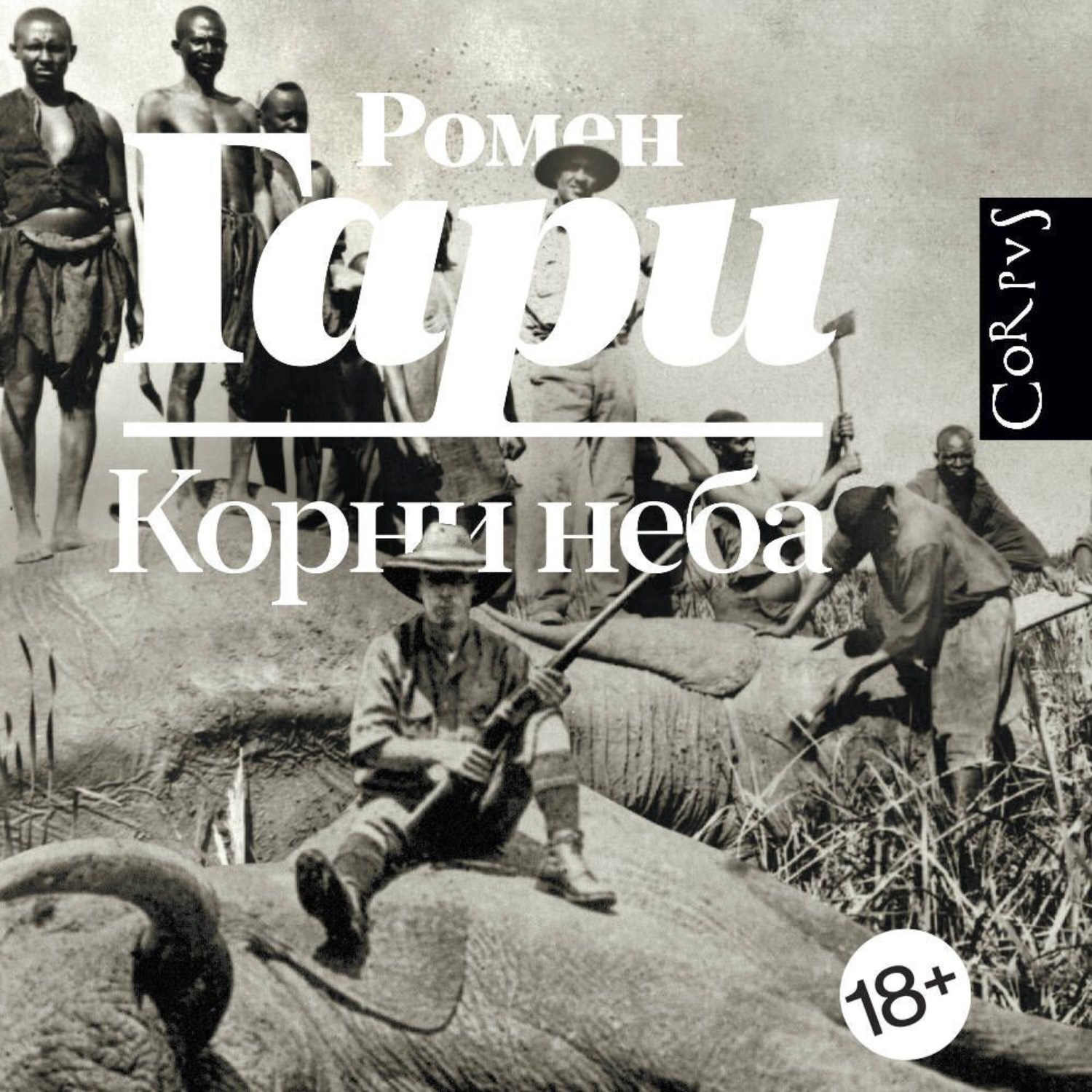 Обложка книги «Корни неба»