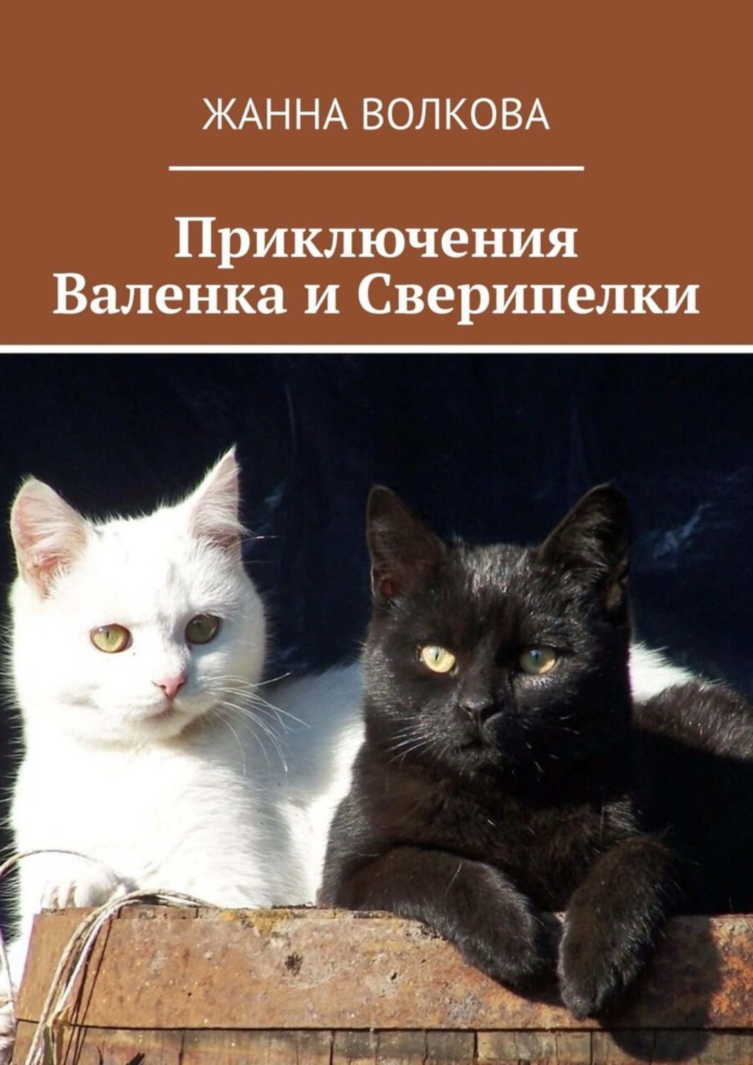 Обложка книги «Приключения Валенка и Сверипелки»