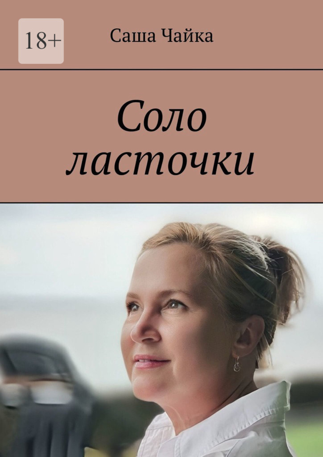 Обложка книги «Соло ласточки»
