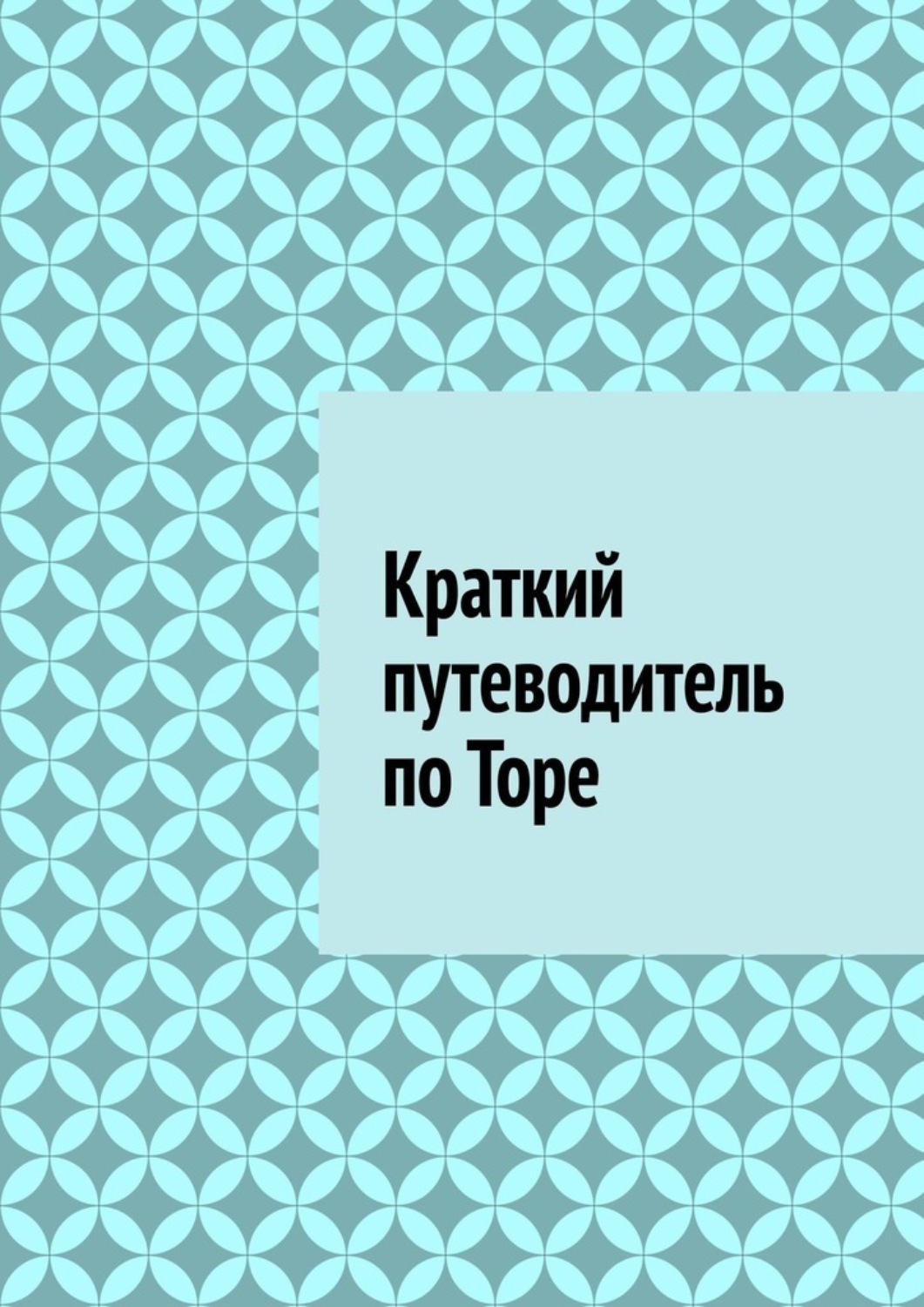 Обложка книги «Краткий путеводитель по Торе»
