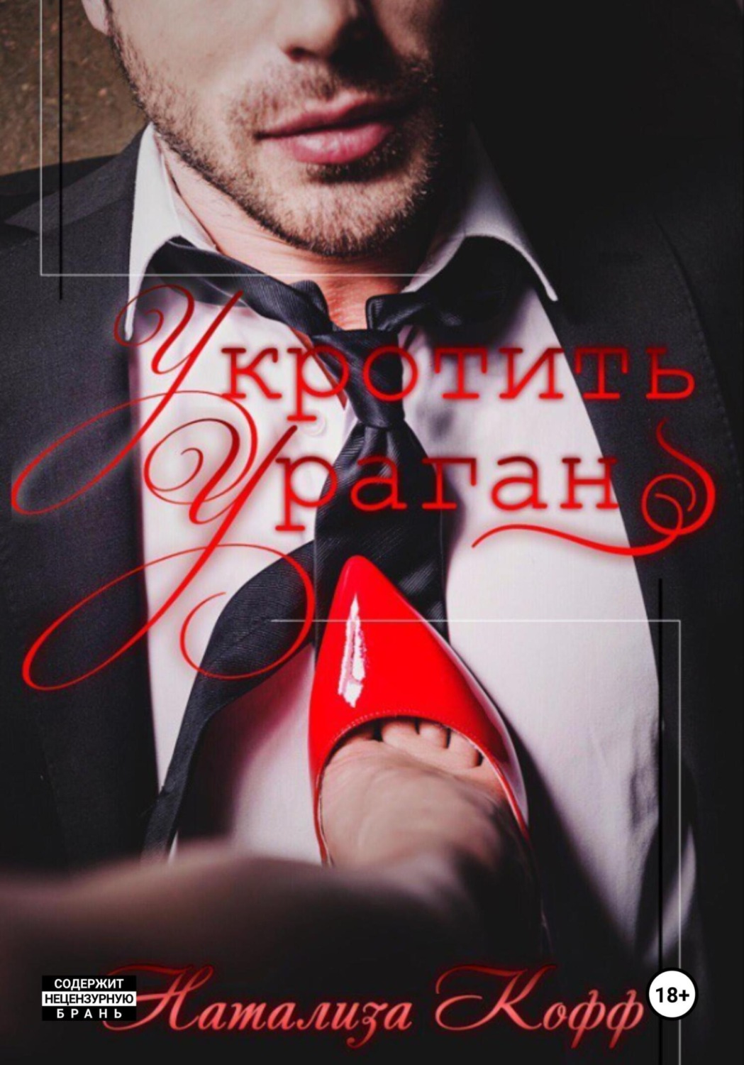 Обложка книги «Укротить ураган»
