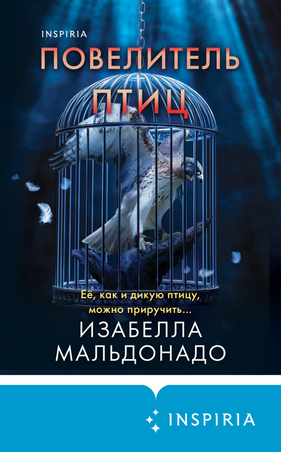 Обложка книги «Повелитель птиц»