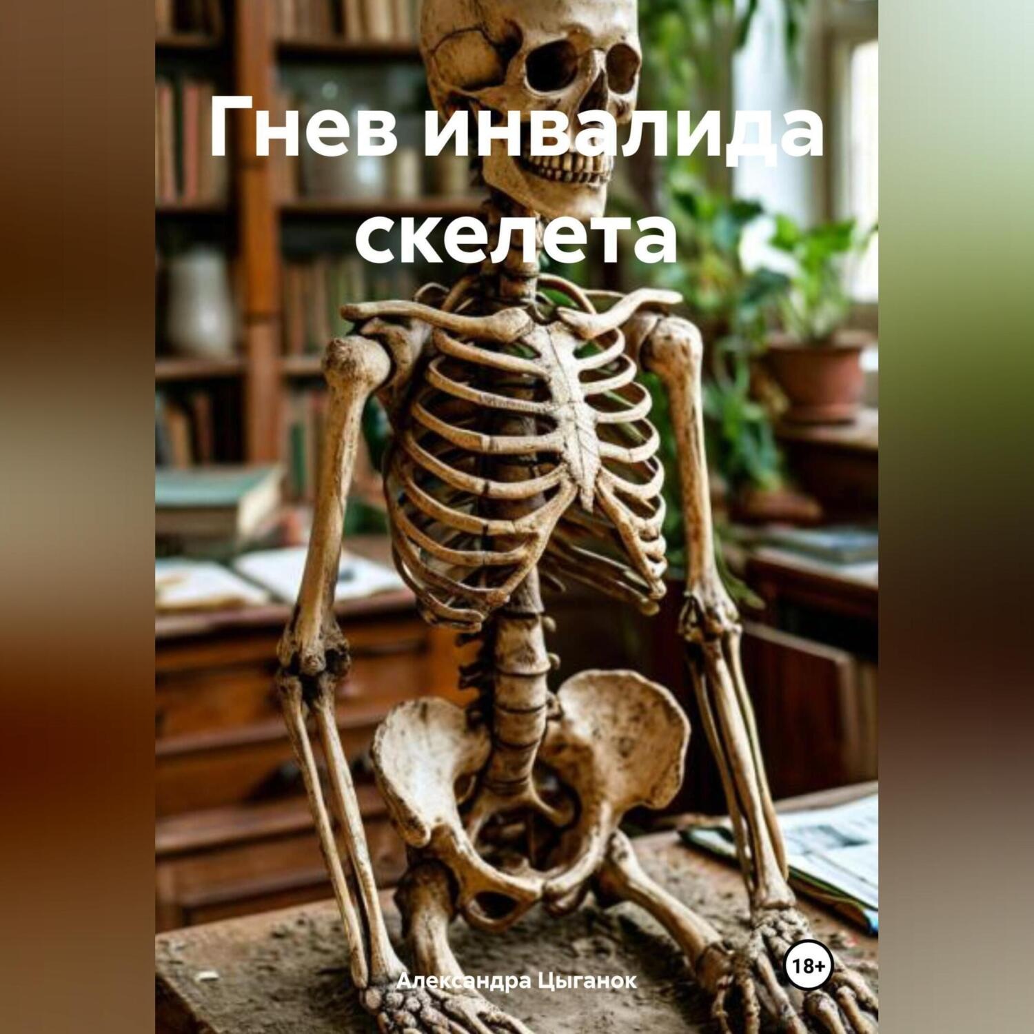 Обложка книги «Гнев инвалида скелета»